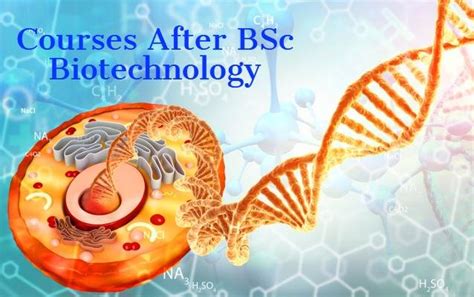 Top Courses After Bsc Biotechnology Shikha Study Abroad