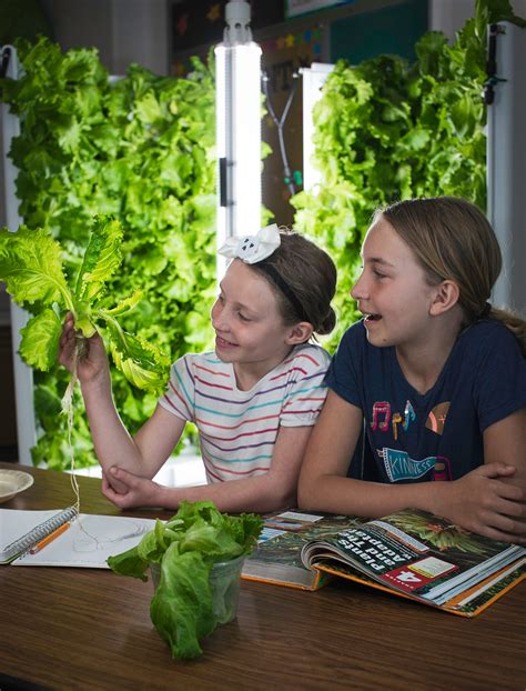 Classroom Hydroponics Is Easier Than You Think With Flex Farms