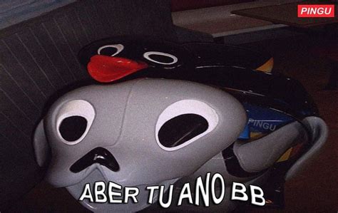 Pin De Zia Van Houten En Pingu Frases Memes Divertidos Fotos De