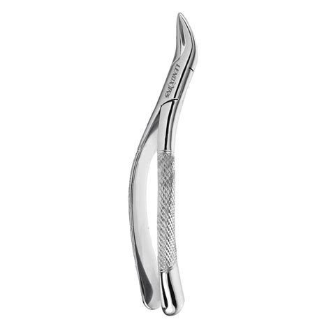 Extracting Forceps Tomes Fig Upper Roots