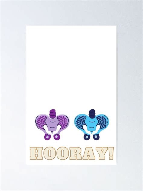 Hip Hip Hooray Poster For Sale By Darianedesigns Redbubble