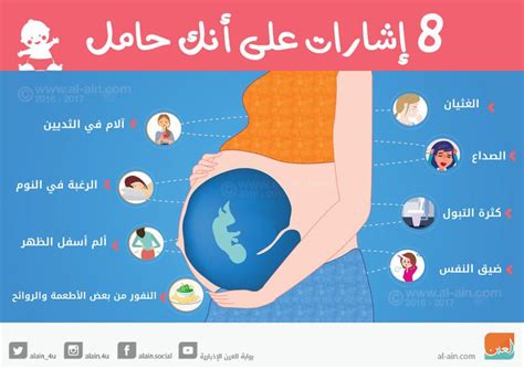 الحمل الحملوالولادة الحملبولد الحملالتوأمي الحملوالرضاعة