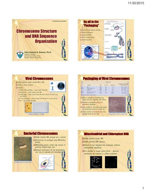 (PDF) Genetics - Chromosome Structure - DOKUMEN.TIPS