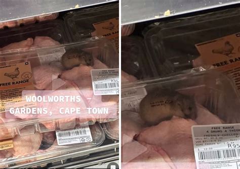 Let Our Customers Down Woolworths Responds To Rat Video Watch