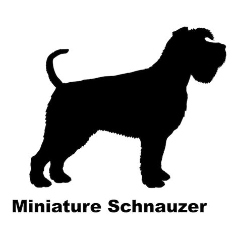 Honden Silhouet Miniatuur Schnauzer Honden Rassen Logo Monogram Vector