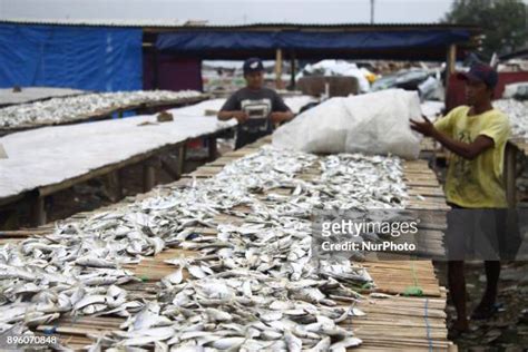 183 Muara Angke Port Photos & High Res Pictures - Getty Images