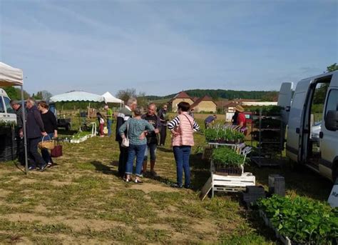 Première édition réussie pour la foire aux plantes aux jardins de l