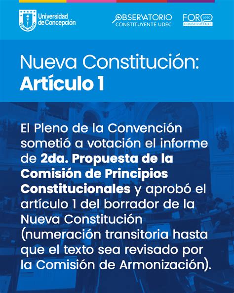 Nueva Constituci N Art Culo Foro Constituyente