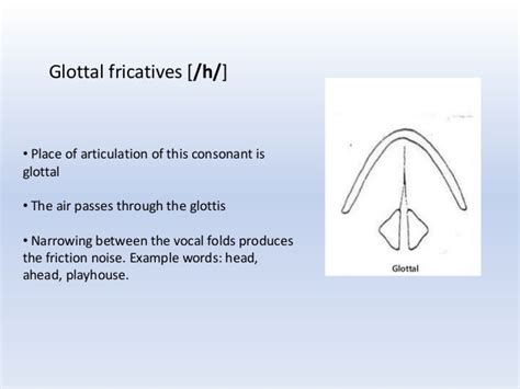 Fricatives of English