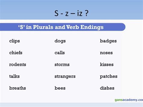 Plural Form Of The Nouns