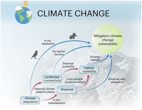 Schematic Framework Illustrating Speciesʼ Responses To Climate