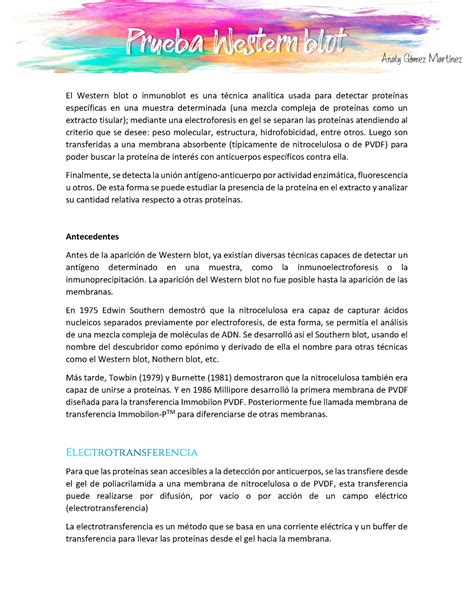 Prueba De Western Blot El Western Blot O Inmunoblot Es Una Técnica Analítica Usada Para