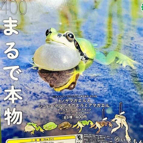 ガチャ王国クレメント徳島店 On Twitter 🌕🌾11月12日新商品入荷しました🌾🌕 ︎ntc Mono トノサマガエルと