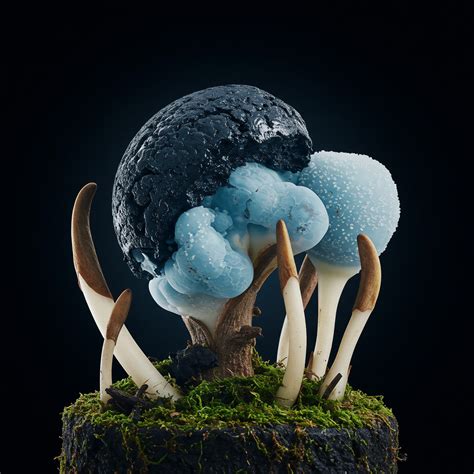 How Does Overfishing Impact Marine Ecosystems? → Question