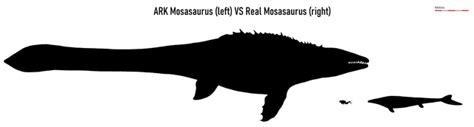 Size comparison between ARK Mosasaurus (54 m) and Mosasaurus in real ...