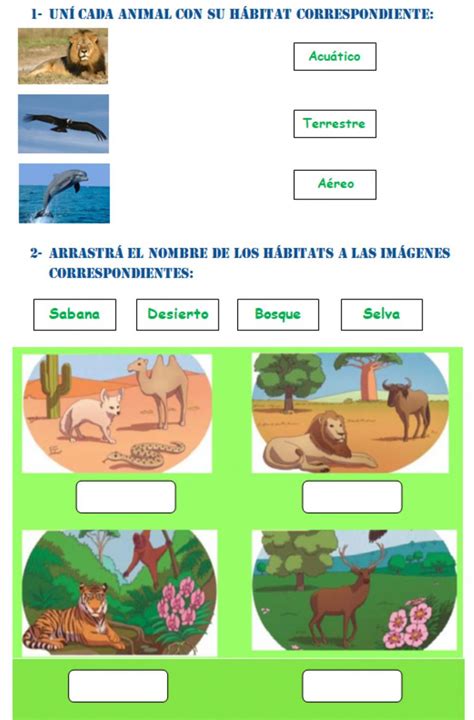 Ficha Interactiva De Los Animales Para Segundo De Primaria Puedes