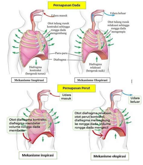 Tema Subtema Pembelajaran