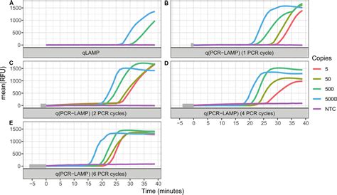 Frontiers Combinations Of PCR And Isothermal Amplification Techniques