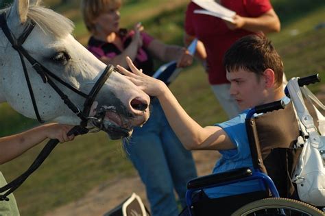 Иппотерапия — наши специалисты — Золотой мустанг