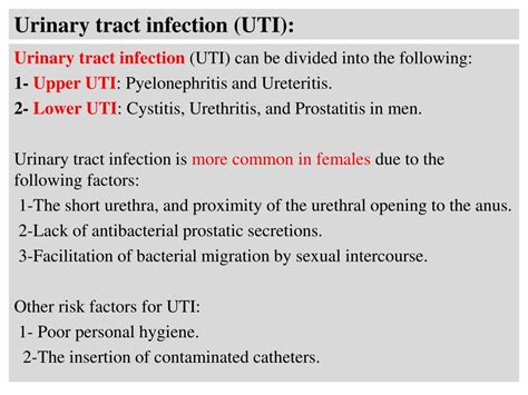 Ppt Urinary Tract Infection Uti Powerpoint Presentation Free