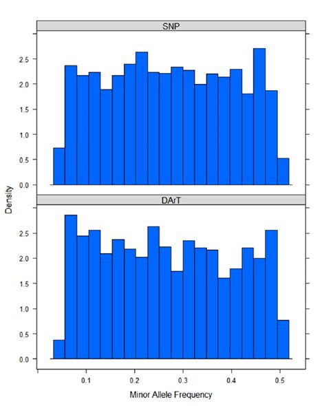 Minor Allele Frequency Distribution For Snp And Dart Marker Datasets