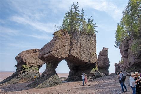 Hopewell Rocks Provincial Park