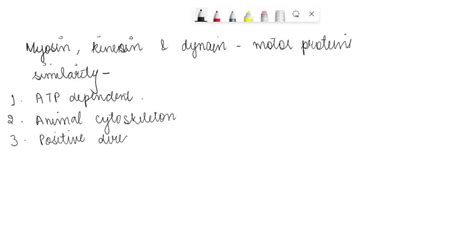 SOLVED: Compare and contrast between the ATP-dependent movement ...