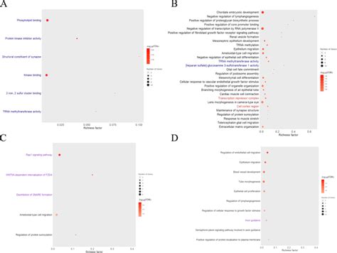 Bubble Plots Displaying The Enrichment Results For Gene Ontology Go