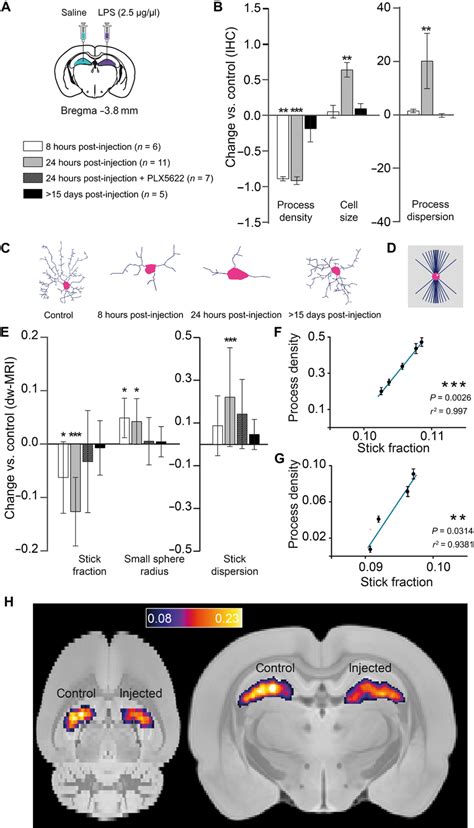 Histological Characterization Of Microglia Reaction And Its Associated Download Scientific