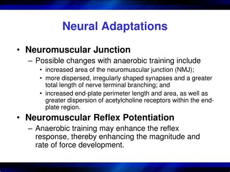 PPT Adaptations To Anaerobic Training Programs PowerPoint