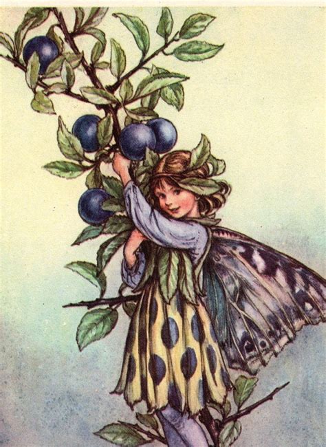 1960 Cicely Mary Barker Flower Fairies Of The Autumn The Sloe Fairy