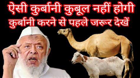 Kiski Qurbani Kubool Nahin Hogi Qurbani Ke Ahkam V Masail Eid Ul