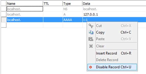 DNS Resource Records Micetro By Men Mice 9 3 Documentation