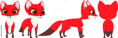 Fox Turnaround For Animations And Designs Stock Vector Adobe Stock