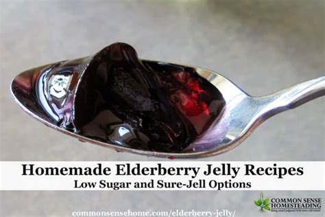 Elderberry Jelly Recipes - Low Sugar and Sure-Jell Options