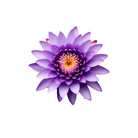 Flower Of Lotus With Light Purple Petals With Reflection Generative Ai