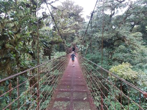 A must see - Monteverde Cloud Forest Biological Reserve, Monteverde Cloud Forest Reserve ...