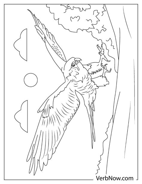 Falcon Printable Coloring Pages