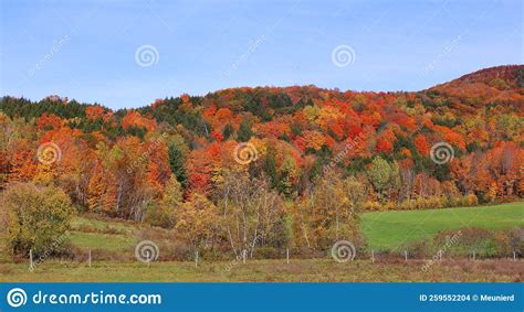 North America Fall Landscape Eastern Townships Stock Photo Image Of