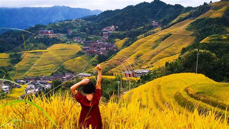 Guilin Longji Ping An Terraces Day Private Tour Klook United States