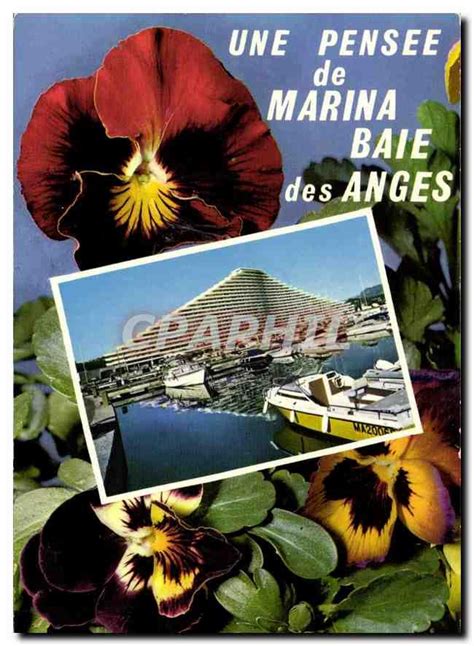 Carte Postale Moderne La Cote D Azur Villeneuve Loubet Marina Baie Des