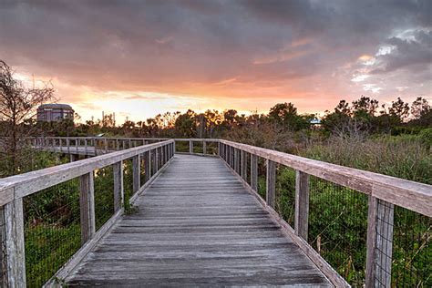 Boardwalk Clipart An Illustration Of A Wooden Bridge Cartoon Vector