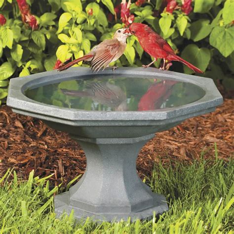 Miniature Bird Bath Bird Bath Hanging Bird Bath Diy Bird Bath