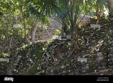 Cobá, Pyramid La Iglesia, Quintana Roo, Mexico Stock Photo - Alamy