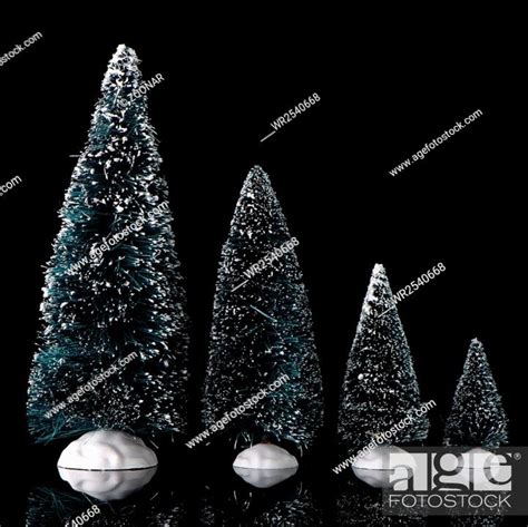 Miniature Pine Trees Stock Photo Picture And Royalty Free Image Pic