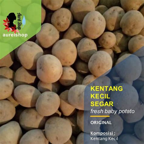 Jual Kentang Rendang Kecil Segar Kemasan Kg Shopee Indonesia