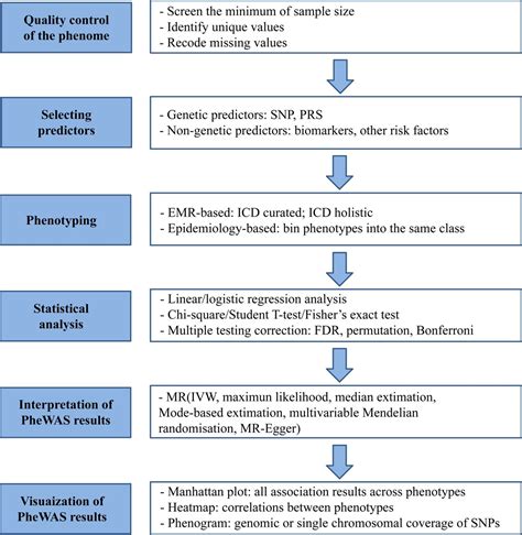 Methodology In Phenome Wide Association Studies A Systematic Review