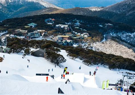 Mount Buller Ski Resort Terrain Snow Review