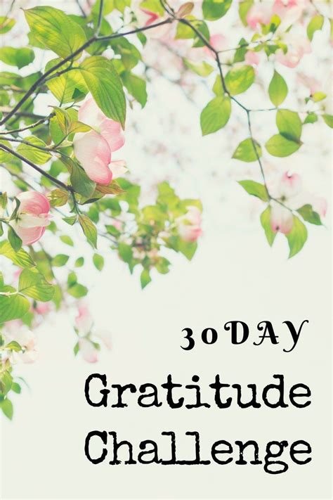 Gratitude Is A Muscle Just Like Every Other Emotion It Needs To Be