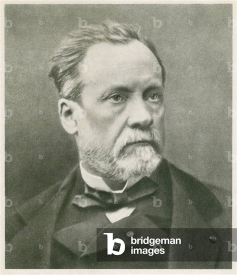 Image Of Louis Pasteur French Chemist And Microbiologist